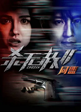 杀无赦2:Ⅱ同盟
