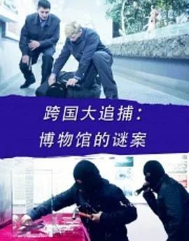跨国大追捕:博物馆的谜案