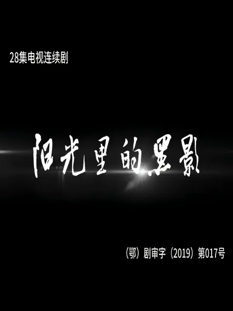 阳光里的黑影