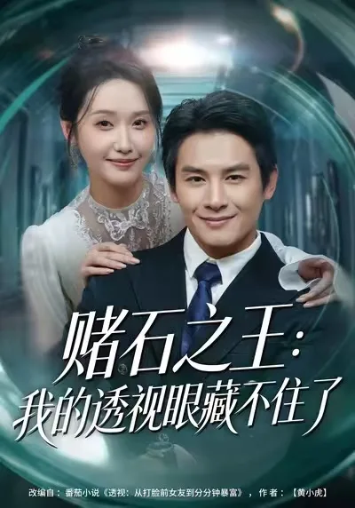 赌石之王:我的透视眼藏不住了